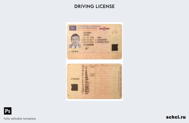 цифровая загрузка шаблона dl Литвы